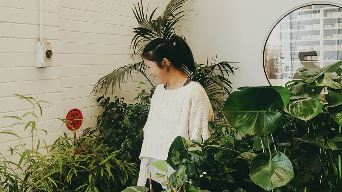 a black haired woman in a pony tail, wearing a naturally dyed, ethically handwoven knit sweater; standing in amongst green indoor plants