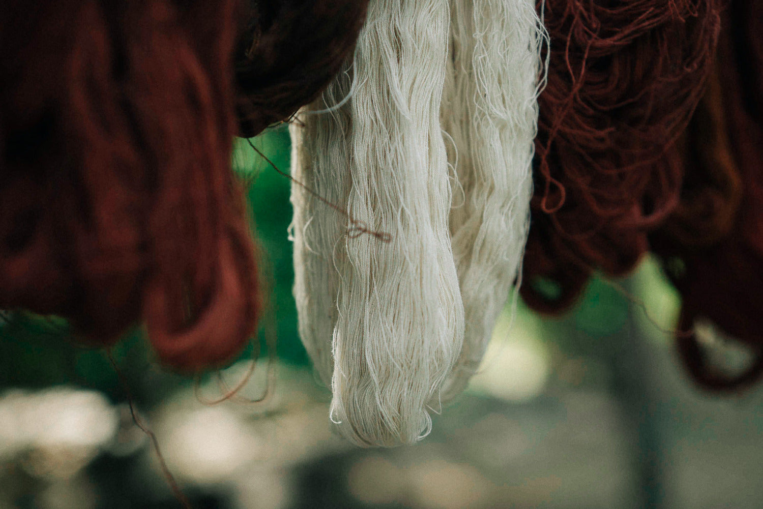 Plant-dyed cotton yarn hanging to dry, showing subtle natural colour variation influenced by sun and conditions