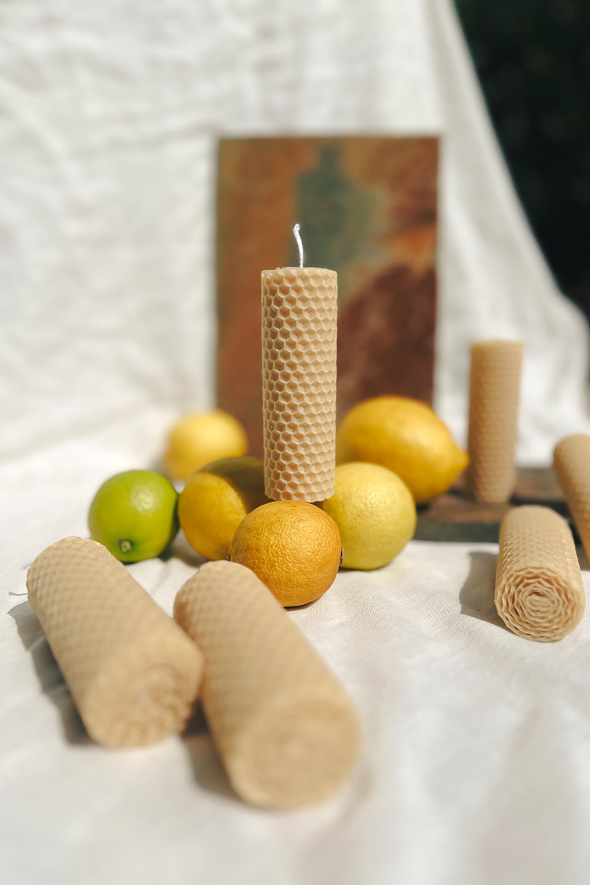 Handmade rolled beeswax candles arranged with citrus fruit on a fabric backdrop