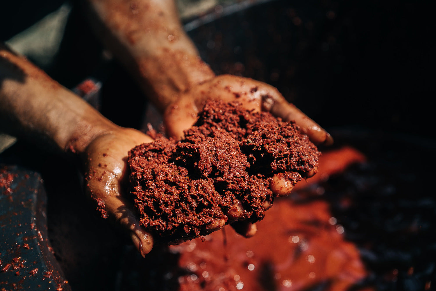 Hands holding crushed plant-based dye matter used to colour yarns with natural dyes.