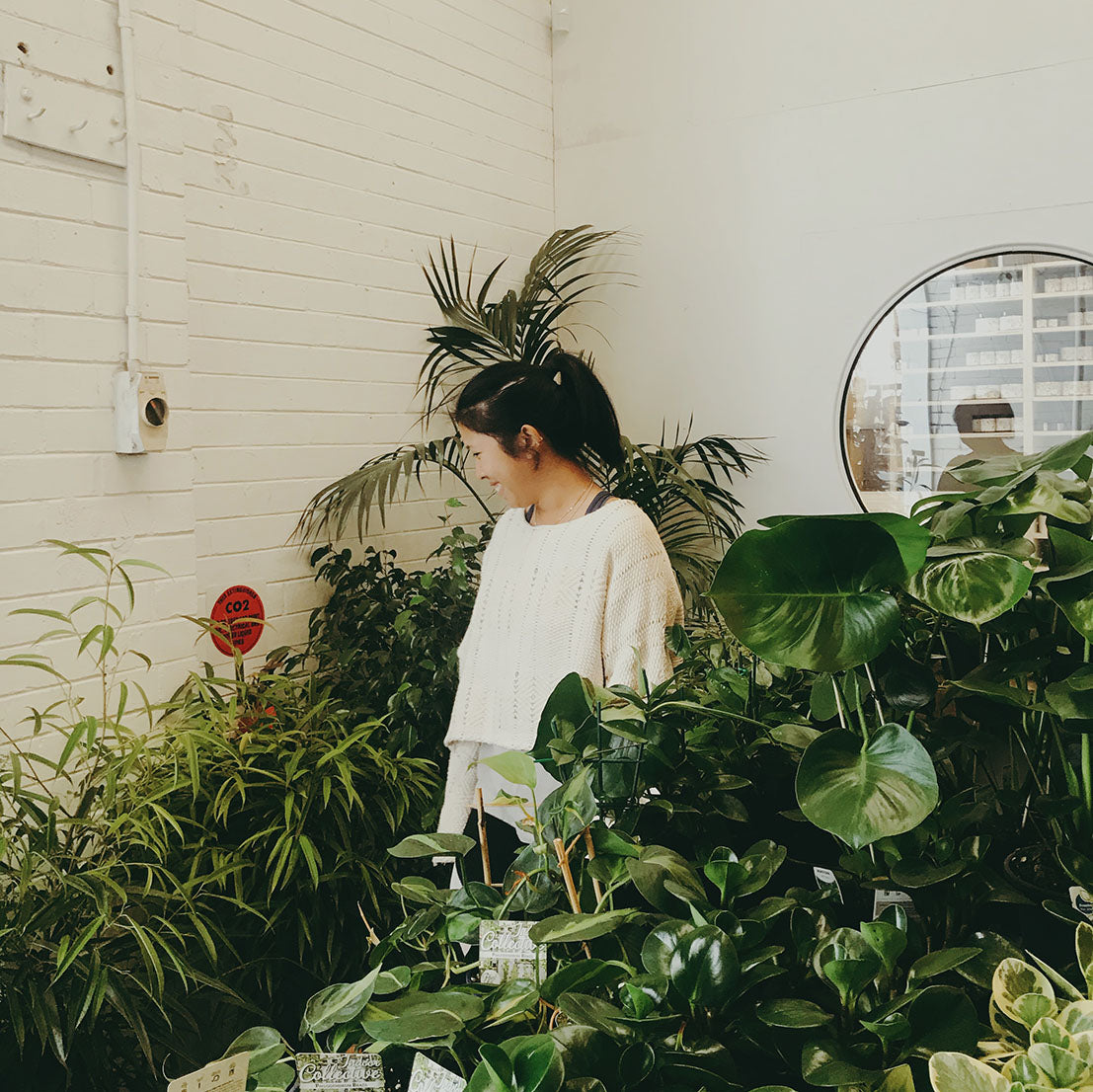 a black haired woman in a pony tail, wearing a naturally dyed, ethically handwoven knit sweater; standing in amongst green indoor plants