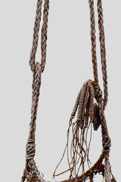 RŪPA x Kanekes | Koja