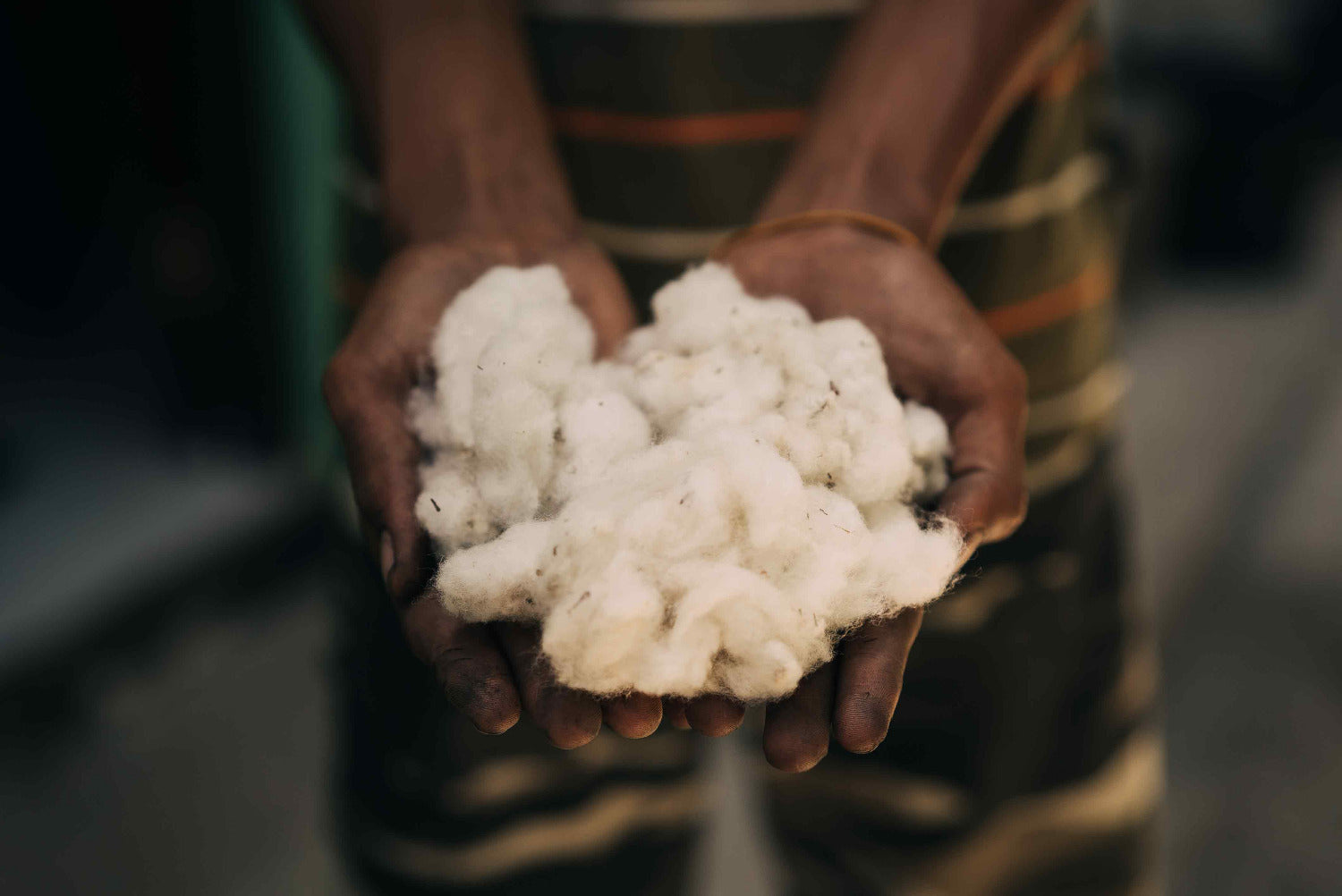 Loose, unbleached cotton fibre held in hands before spinning, showing raw natural material used in RŪPAHAUS fabrics.